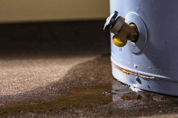  Louisville, CO Water damage restoration Pros