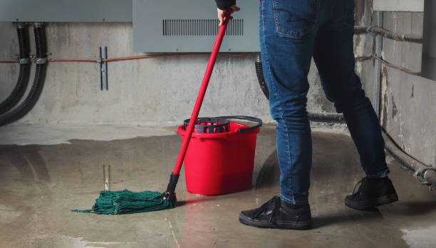 Best Basement water damage restoration  in Louisville, CO