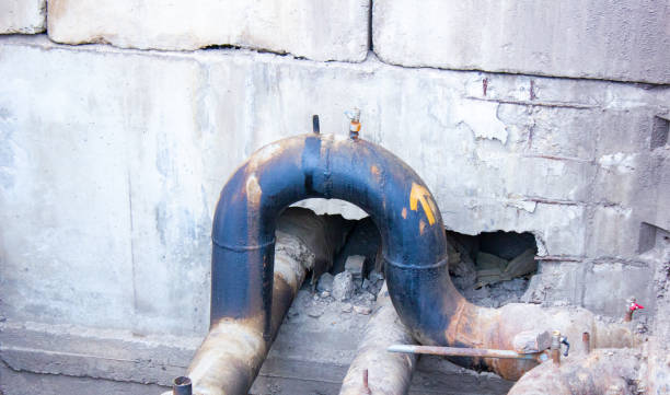 Best Water damage mitigation services  in Louisville, CO